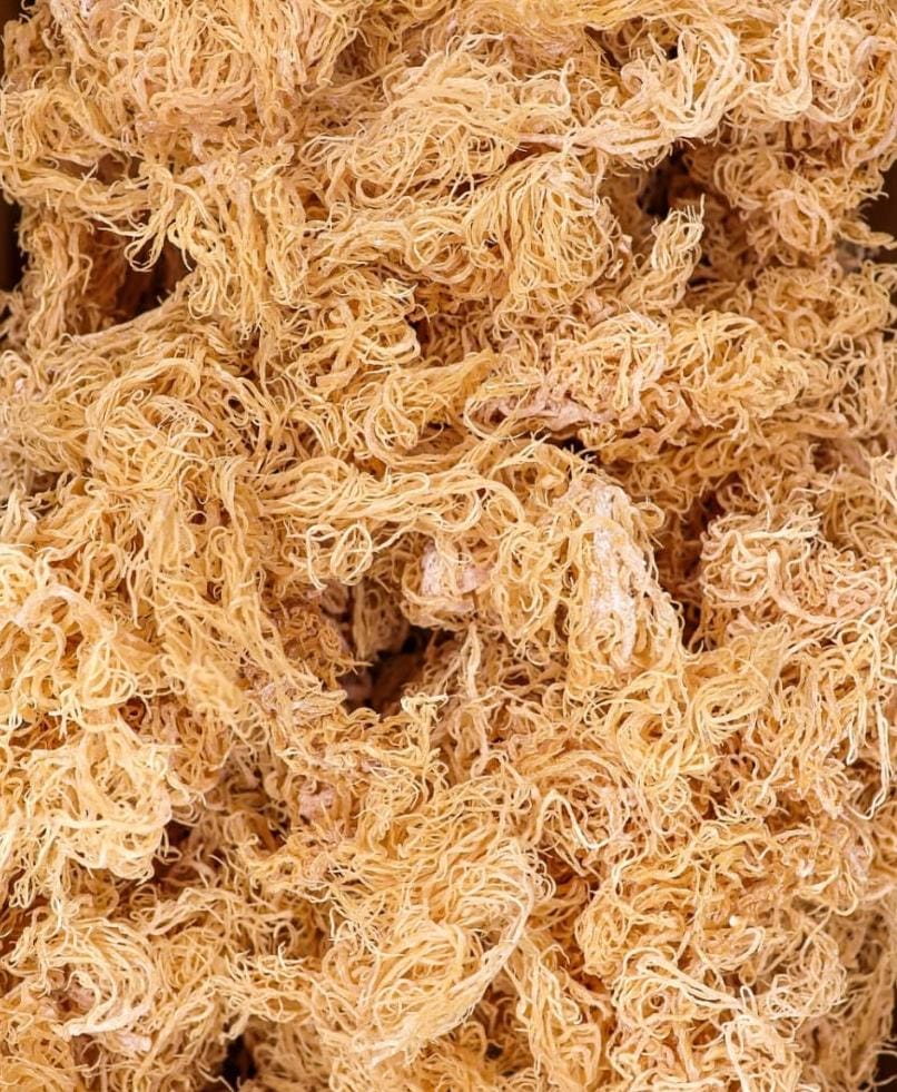 Wholesale 100% ORGANIC WILDCRAFTED SEA MOSS  (1KG)
